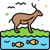 ecosystem